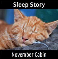 SLEEP STORY:  November Cabin