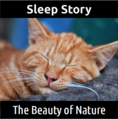 SLEEP STORY:  The Beauty of Nature